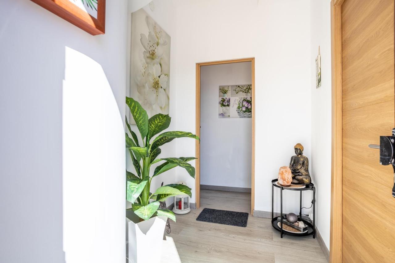 Apartament Medano Time El Médano